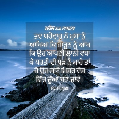 Picture 04 - ਖ਼ਰੋਜ 8:16 PANIRV - ਤਦ ਯਹੋਵਾਹ ਨੇ ਮੂਸਾ - Bible Verse Picture