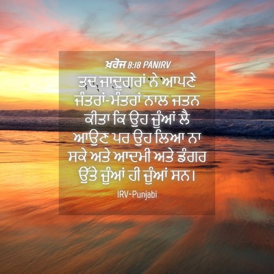 Picture 04 - ਖ਼ਰੋਜ 8:18 PANIRV - ਤਦ ਜਾਦੂਗਰਾਂ ਨੇ - Bible Verse Picture