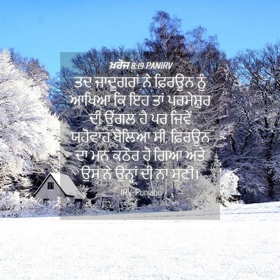 Picture 04 - ਖ਼ਰੋਜ 8:19 PANIRV - ਤਦ ਜਾਦੂਗਰਾਂ ਨੇ - Bible Verse Picture