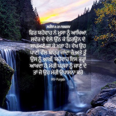Picture 04 - ਖ਼ਰੋਜ 8:20 PANIRV - ਫਿਰ ਯਹੋਵਾਹ ਨੇ ਮੂਸਾ - Bible Verse Picture