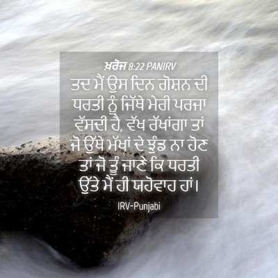 Picture 04 - ਖ਼ਰੋਜ 8:22 PANIRV - ਤਦ ਮੈਂ ਉਸ ਦਿਨ ਗੋਸ਼ਨ - Bible Verse Picture