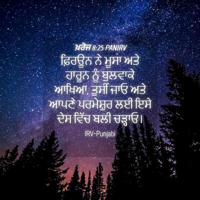 Picture 04 - ਖ਼ਰੋਜ 8:25 PANIRV - ਫ਼ਿਰਊਨ ਨੇ ਮੂਸਾ ਅਤੇ - Bible Verse Picture