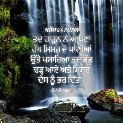 Picture 04 - ਖ਼ਰੋਜ 8:6 PANIRV - ਤਦ ਹਾਰੂਨ ਨੇ ਆਪਣਾ - Bible Verse Picture