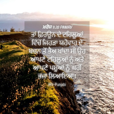 Picture 04 - ਖ਼ਰੋਜ 9:20 PANIRV - ਤਾਂ ਫ਼ਿਰਊਨ ਦੇ - Bible Verse Picture
