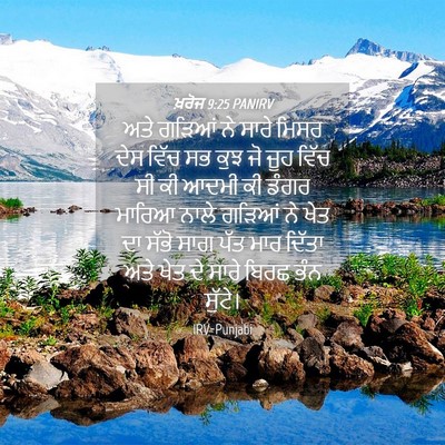 Picture 04 - ਖ਼ਰੋਜ 9:25 PANIRV - ਅਤੇ ਗੜਿਆਂ ਨੇ ਸਾਰੇ - Bible Verse Picture