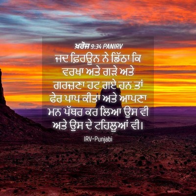 Picture 04 - ਖ਼ਰੋਜ 9:34 PANIRV - ਜਦ ਫ਼ਿਰਊਨ ਨੇ ਡਿੱਠਾ - Bible Verse Picture