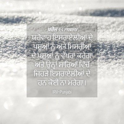 Picture 04 - ਖ਼ਰੋਜ 9:4 PANIRV - ਯਹੋਵਾਹ ਇਸਰਾਏਲੀਆਂ - Bible Verse Picture