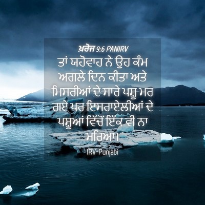 Picture 04 - ਖ਼ਰੋਜ 9:6 PANIRV - ਤਾਂ ਯਹੋਵਾਹ ਨੇ ਉਹ - Bible Verse Picture
