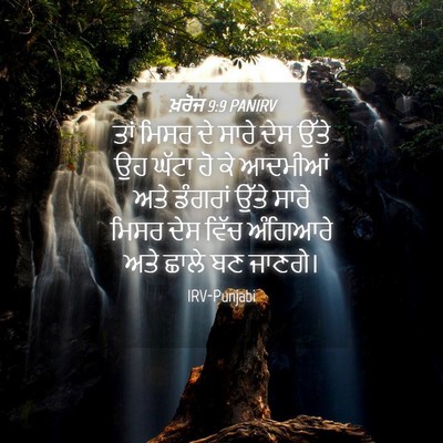 Picture 04 - ਖ਼ਰੋਜ 9:9 PANIRV - ਤਾਂ ਮਿਸਰ ਦੇ ਸਾਰੇ - Bible Verse Picture