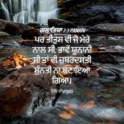 Picture 04 - ਗਲਾਤਿਯਾ 2:3 PANIRV - ਪਰ ਤੀਤੁਸ ਵੀ ਜੋ ਮੇਰੇ - Bible Verse Picture