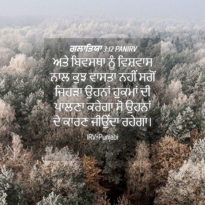 Picture 04 - ਗਲਾਤਿਯਾ 3:12 PANIRV - ਅਤੇ ਬਿਵਸਥਾ ਨੂੰ - Bible Verse Picture