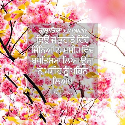 Picture 04 - ਗਲਾਤਿਯਾ 3:27 PANIRV - ਕਿਉਂ ਜੋ ਤੁਹਾਡੇ - Bible Verse Picture