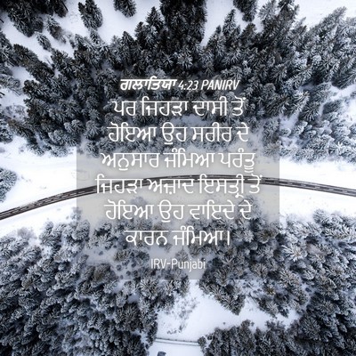 Picture 04 - ਗਲਾਤਿਯਾ 4:23 PANIRV - ਪਰ ਜਿਹੜਾ ਦਾਸੀ ਤੋਂ - Bible Verse Picture