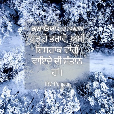Picture 04 - ਗਲਾਤਿਯਾ 4:28 PANIRV - ਪਰ ਹੇ ਭਰਾਵੋ, ਅਸੀਂ - Bible Verse Picture