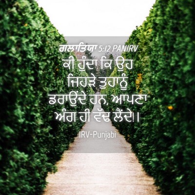 Picture 04 - ਗਲਾਤਿਯਾ 5:12 PANIRV - ਕੀ ਹੁੰਦਾ ਕਿ ਉਹ - Bible Verse Picture