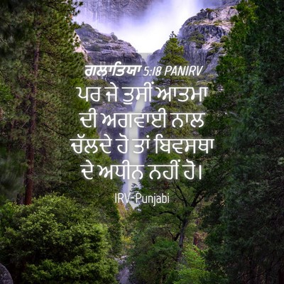 Picture 04 - ਗਲਾਤਿਯਾ 5:18 PANIRV - ਪਰ ਜੇ ਤੁਸੀਂ ਆਤਮਾ ਦੀ - Bible Verse Picture