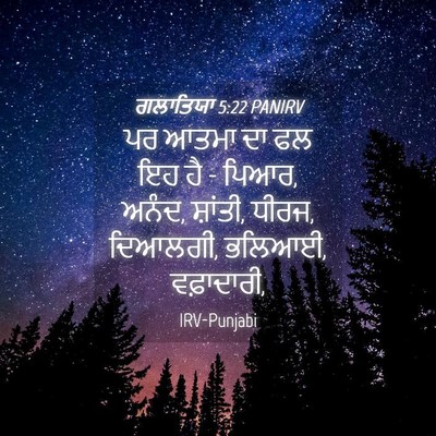 Picture 04 - ਗਲਾਤਿਯਾ 5:22 PANIRV - ਪਰ ਆਤਮਾ ਦਾ ਫਲ ਇਹ ਹੈ - - Bible Verse Picture