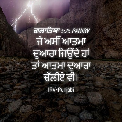 Picture 04 - ਗਲਾਤਿਯਾ 5:25 PANIRV - ਜੇ ਅਸੀਂ ਆਤਮਾ ਦੁਆਰਾ - Bible Verse Picture