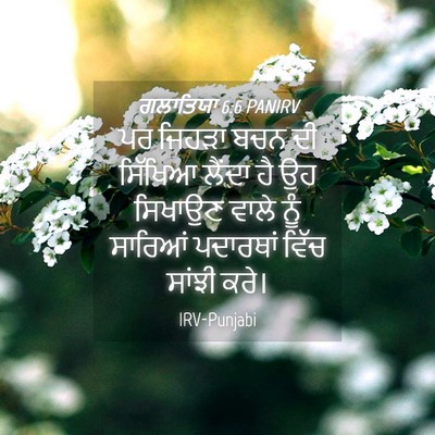 Picture 04 - ਗਲਾਤਿਯਾ 6:6 PANIRV - ਪਰ ਜਿਹੜਾ ਬਚਨ ਦੀ - Bible Verse Picture