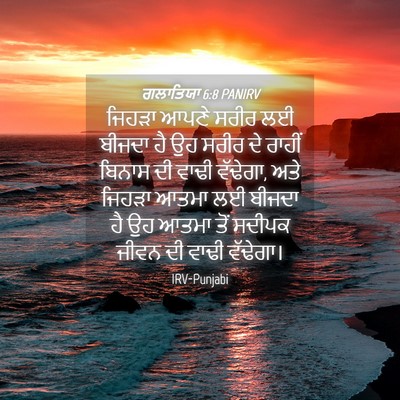 Picture 04 - ਗਲਾਤਿਯਾ 6:8 PANIRV - ਜਿਹੜਾ ਆਪਣੇ ਸਰੀਰ ਲਈ - Bible Verse Picture