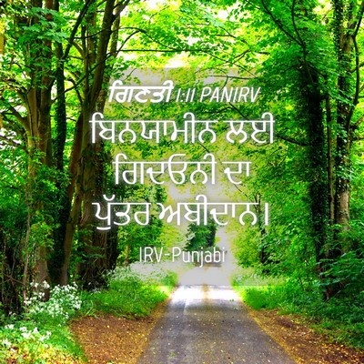 Picture 04 - ਗਿਣਤੀ 1:11 PANIRV - ਬਿਨਯਾਮੀਨ ਲਈ - Bible Verse Picture