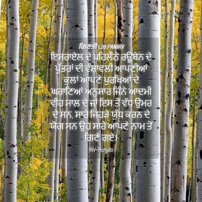 Picture 04 - ਗਿਣਤੀ 1:20 PANIRV - ਇਸਰਾਏਲ ਦੇ ਪਹਿਲੌਠੇ - Bible Verse Picture