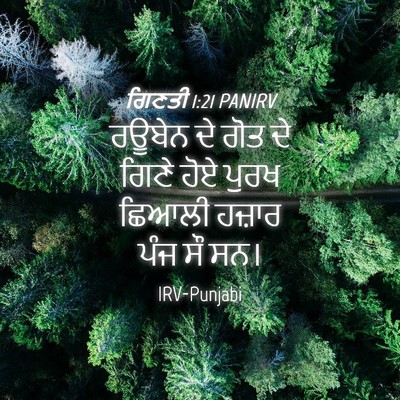 Picture 04 - ਗਿਣਤੀ 1:21 PANIRV - ਰਊਬੇਨ ਦੇ ਗੋਤ ਦੇ - Bible Verse Picture