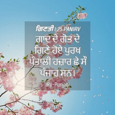 Picture 04 - ਗਿਣਤੀ 1:25 PANIRV - ਗਾਦ ਦੇ ਗੋਤ ਦੇ ਗਿਣੇ - Bible Verse Picture