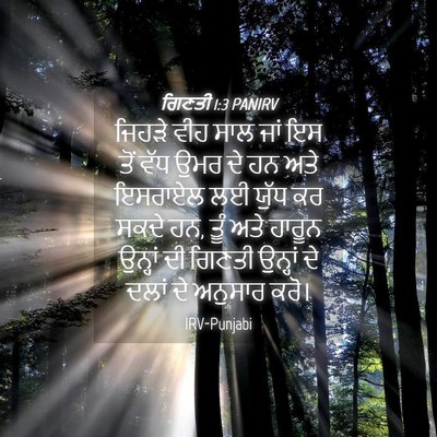 Picture 04 - ਗਿਣਤੀ 1:3 PANIRV - ਜਿਹੜੇ ਵੀਹ ਸਾਲ ਜਾਂ - Bible Verse Picture