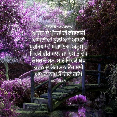 Picture 04 - ਗਿਣਤੀ 1:40 PANIRV - ਆਸ਼ੇਰ ਦੇ ਪੁੱਤਰਾਂ - Bible Verse Picture