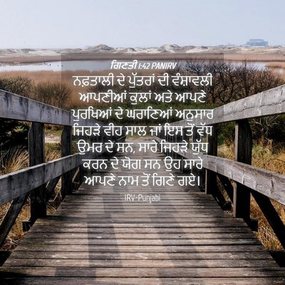 Picture 04 - ਗਿਣਤੀ 1:42 PANIRV - ਨਫ਼ਤਾਲੀ ਦੇ - Bible Verse Picture