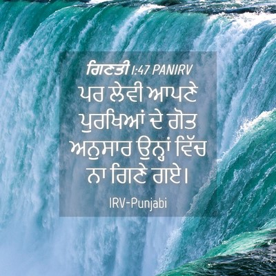 Picture 04 - ਗਿਣਤੀ 1:47 PANIRV - ਪਰ ਲੇਵੀ ਆਪਣੇ - Bible Verse Picture