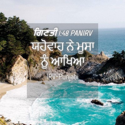 Picture 04 - ਗਿਣਤੀ 1:48 PANIRV - ਯਹੋਵਾਹ ਨੇ ਮੂਸਾ ਨੂੰ - Bible Verse Picture