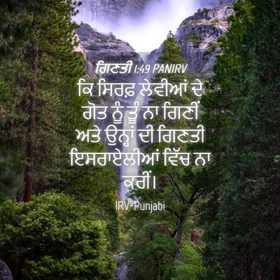 Picture 04 - ਗਿਣਤੀ 1:49 PANIRV - ਕਿ ਸਿਰਫ਼ ਲੇਵੀਆਂ ਦੇ - Bible Verse Picture