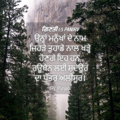 Picture 04 - ਗਿਣਤੀ 1:5 PANIRV - ਉਨ੍ਹਾਂ ਮਨੁੱਖਾਂ ਦੇ - Bible Verse Picture