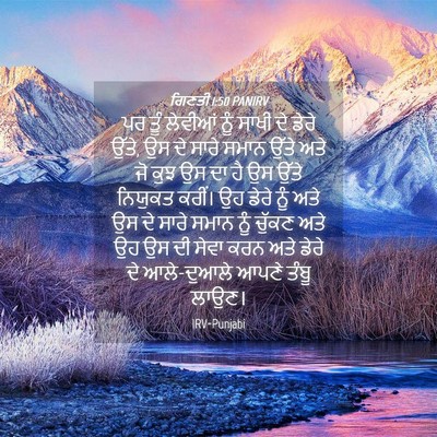 Picture 04 - ਗਿਣਤੀ 1:50 PANIRV - ਪਰ ਤੂੰ ਲੇਵੀਆਂ ਨੂੰ - Bible Verse Picture