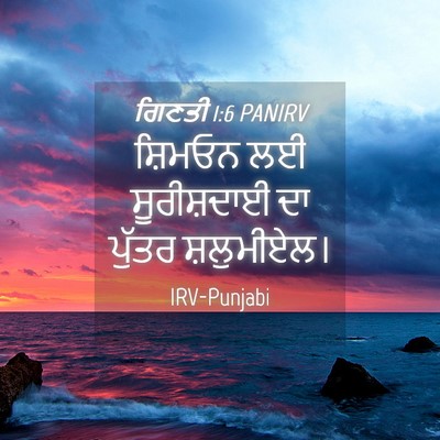 Picture 04 - ਗਿਣਤੀ 1:6 PANIRV - ਸ਼ਿਮਓਨ ਲਈ - Bible Verse Picture