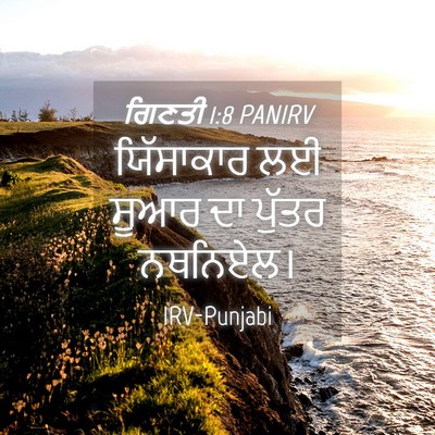 Picture 04 - ਗਿਣਤੀ 1:8 PANIRV - ਯਿੱਸਾਕਾਰ ਲਈ ਸੂਆਰ - Bible Verse Picture