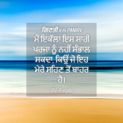 Picture 04 - ਗਿਣਤੀ 11:14 PANIRV - ਮੈਂ ਇਕੱਲਾ ਇਸ ਸਾਰੀ - Bible Verse Picture