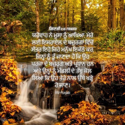 Picture 04 - ਗਿਣਤੀ 11:16 PANIRV - ਯਹੋਵਾਹ ਨੇ ਮੂਸਾ ਨੂੰ - Bible Verse Picture