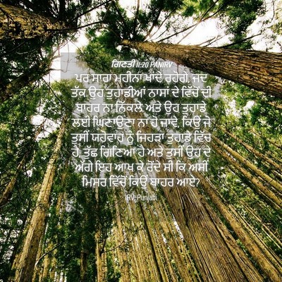 Picture 04 - ਗਿਣਤੀ 11:20 PANIRV - ਪਰ ਸਾਰਾ ਮਹੀਨਾ - Bible Verse Picture
