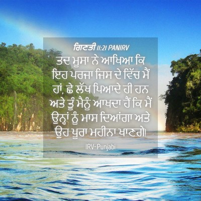 Picture 04 - ਗਿਣਤੀ 11:21 PANIRV - ਤਦ ਮੂਸਾ ਨੇ ਆਖਿਆ ਕਿ - Bible Verse Picture