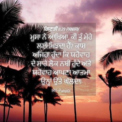 Picture 04 - ਗਿਣਤੀ 11:29 PANIRV - ਮੂਸਾ ਨੇ ਆਖਿਆ, ਕੀ - Bible Verse Picture