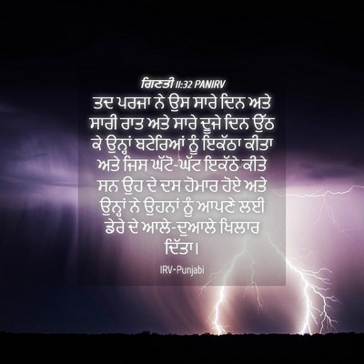 Picture 04 - ਗਿਣਤੀ 11:32 PANIRV - ਤਦ ਪਰਜਾ ਨੇ ਉਸ ਸਾਰੇ - Bible Verse Picture