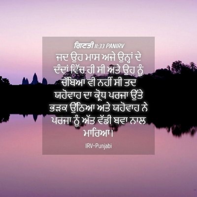 Picture 04 - ਗਿਣਤੀ 11:33 PANIRV - ਜਦ ਉਹ ਮਾਸ ਅਜੇ - Bible Verse Picture