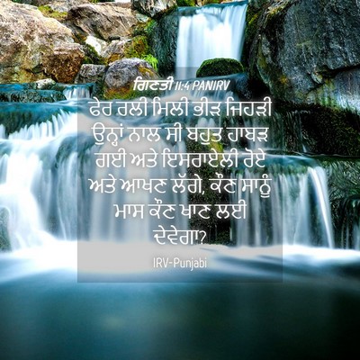 Picture 04 - ਗਿਣਤੀ 11:4 PANIRV - ਫੇਰ ਰਲੀ ਮਿਲੀ ਭੀੜ - Bible Verse Picture