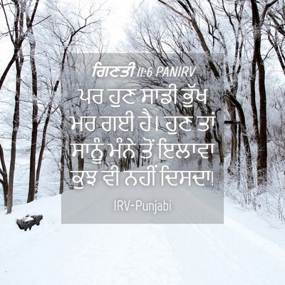 Picture 04 - ਗਿਣਤੀ 11:6 PANIRV - ਪਰ ਹੁਣ ਸਾਡੀ ਭੁੱਖ ਮਰ - Bible Verse Picture