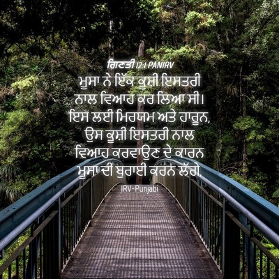 Picture 04 - ਗਿਣਤੀ 12:1 PANIRV - ਮੂਸਾ ਨੇ ਇੱਕ ਕੂਸ਼ੀ - Bible Verse Picture