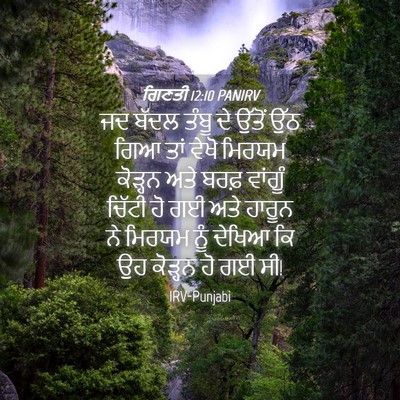 Picture 04 - ਗਿਣਤੀ 12:10 PANIRV - ਜਦ ਬੱਦਲ ਤੰਬੂ ਦੇ - Bible Verse Picture