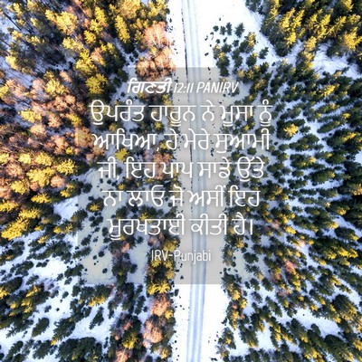 Picture 04 - ਗਿਣਤੀ 12:11 PANIRV - ਉਪਰੰਤ ਹਾਰੂਨ ਨੇ - Bible Verse Picture